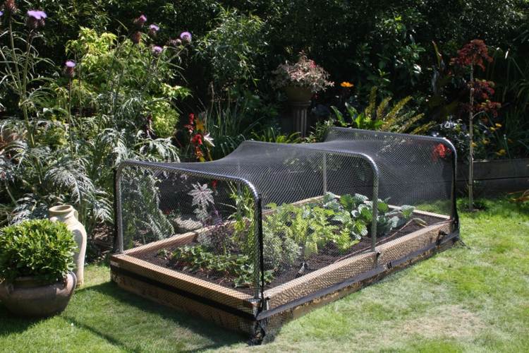 Grönsaks trädgård skapa nät-skydd-svart-trädgård-säng