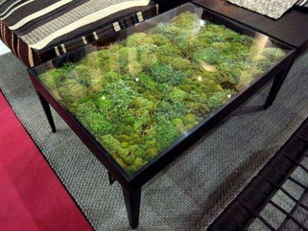 soffbord glasskiva mini trädgård mossa iögonfallande