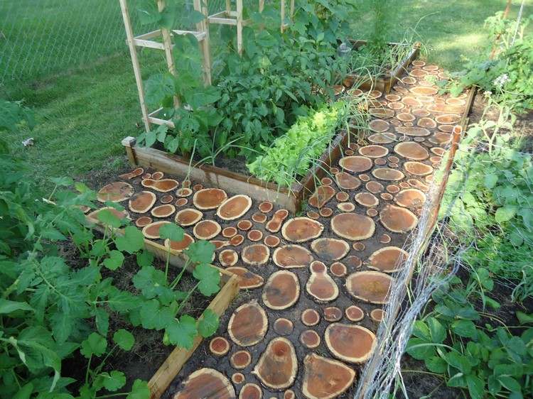 trädgård-stig-skapa-trä-skivor-grönsaks trädgård-upphöjda sängar