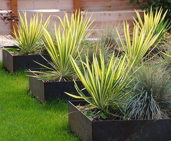 enkla idéer dekoration terrass växt typer planteringar