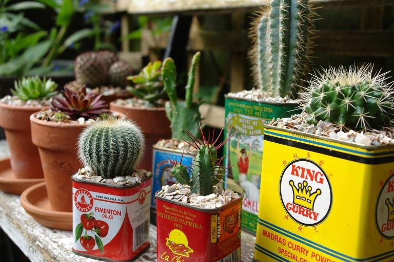 Upcycling idéer trädgårdsformar växthållare kaktus saftiga växtarrangemang instruktioner