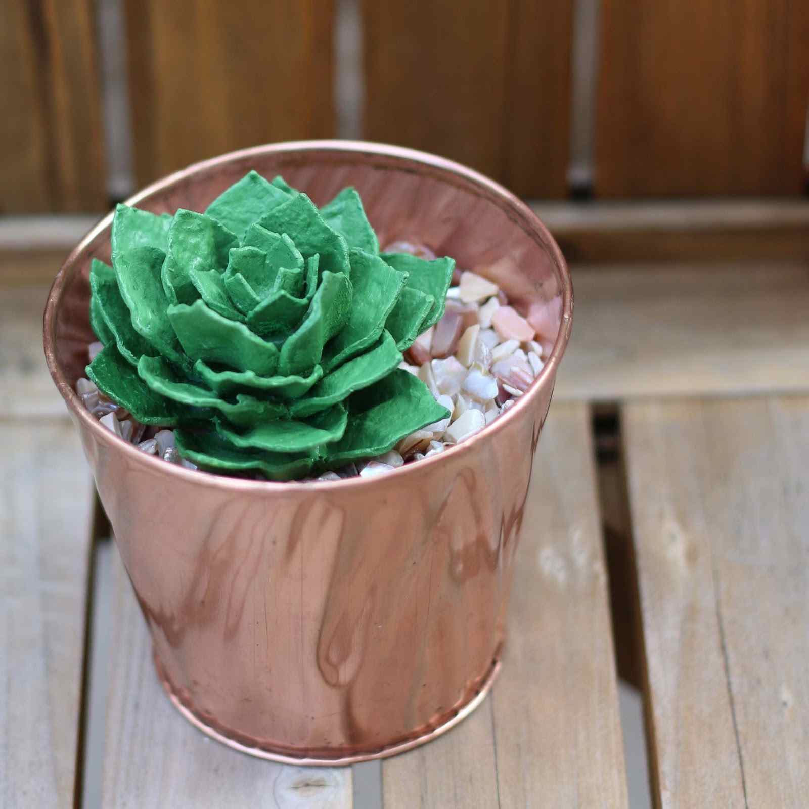 Upcycling Ideas Easy Succulent Plant Eggs Kartong Blomkruka Rosegold Color Trend
