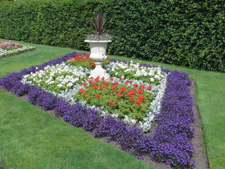 Kantväxter-design-idéer-trädgård-lobelias