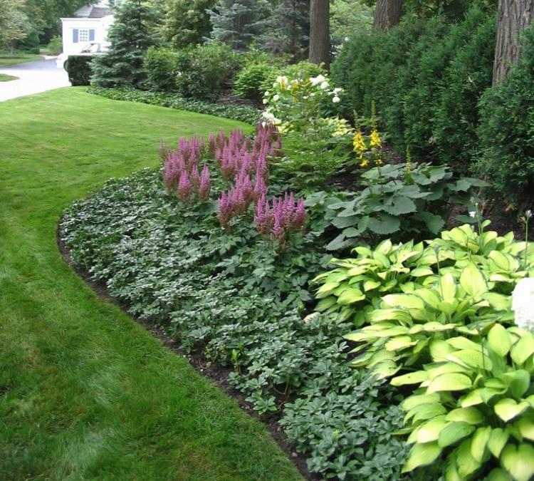 Strö-kantning-växt-design-idéer-strö-gräsmatta-Pachysandra