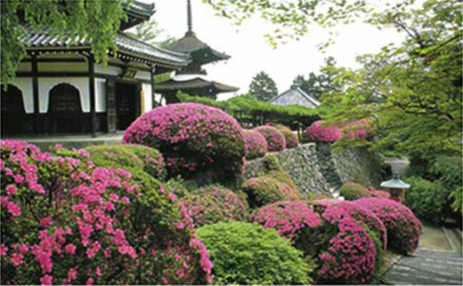 japansk trädgård design idé