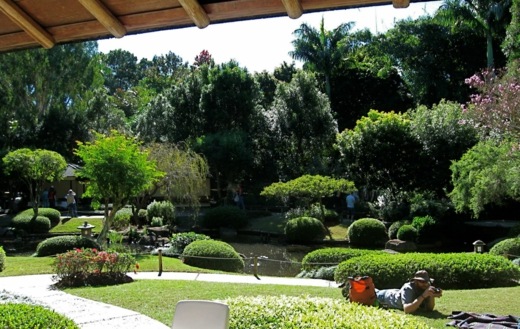 japansk-trädgård-smal-natur
