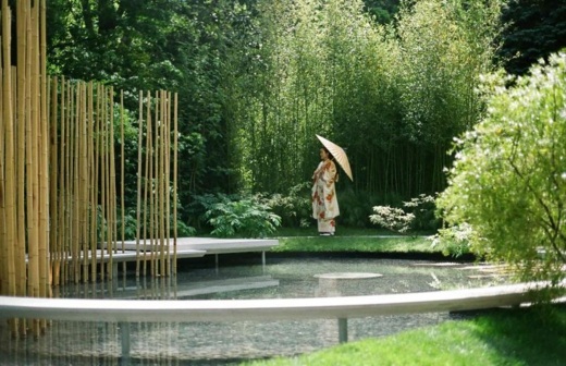 japansk-trädgård-idé-bambu