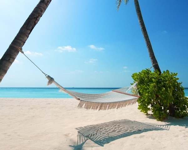 Maldiviska öar idéer för dröm säng hängmatta palm skugga