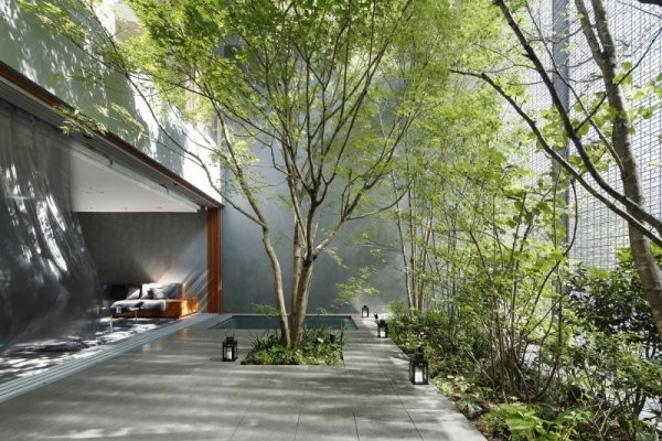 Öppet plan hus inomhus trädgård träd-japan stil