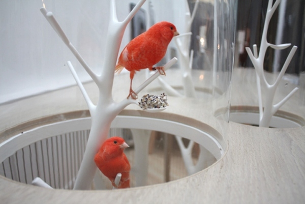 orange fågel archibird bordsdesign med fågelbur