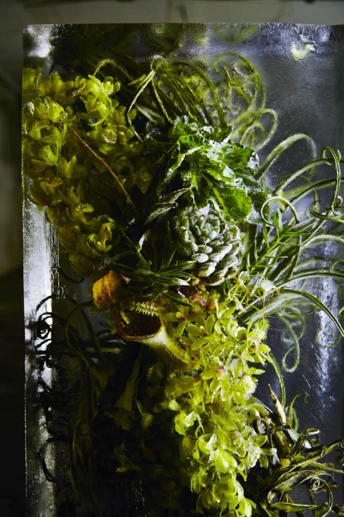 gröna växter isskulptur azuma konstidé