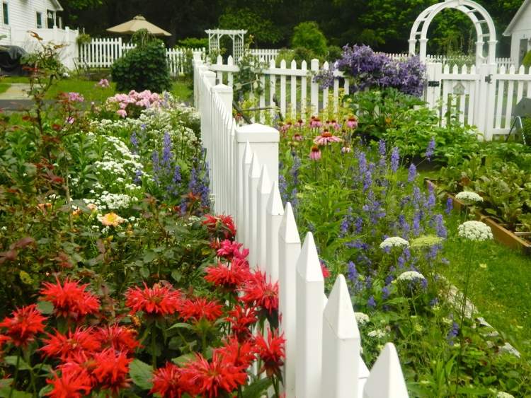 trädgård design-lantlig stil-staket-vita-blommor-röda-blommande-växter
