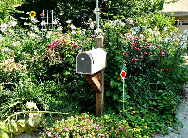 trädgårdsdesign-lantlig stil-postbox-solrosor-frodigt markskydd-prydnadsväxter