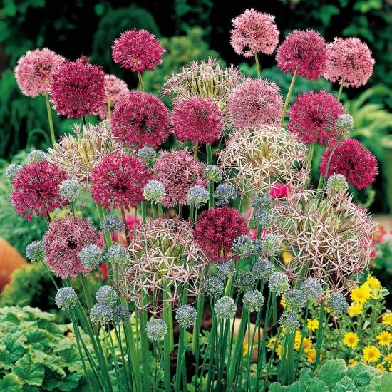 Blomsterträdgårdsdesign i lantlig stil