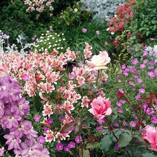 Skapa vackra blommor i en blommande trädgård