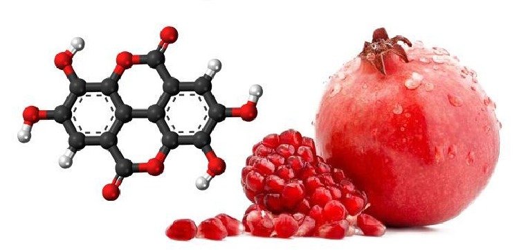 Granatäpple med högt innehåll av ellaginsyra kapslar som kosttillskott