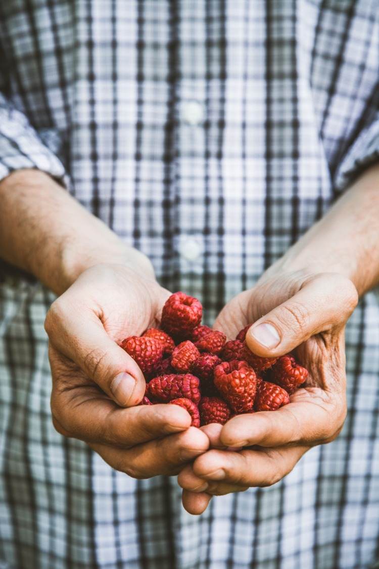 hälsosam kost och fördelar med ellagitannin i hallon naturliga anti-cancer produkter