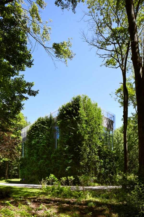 Hus med platt tak klätterväxter-grön fasad