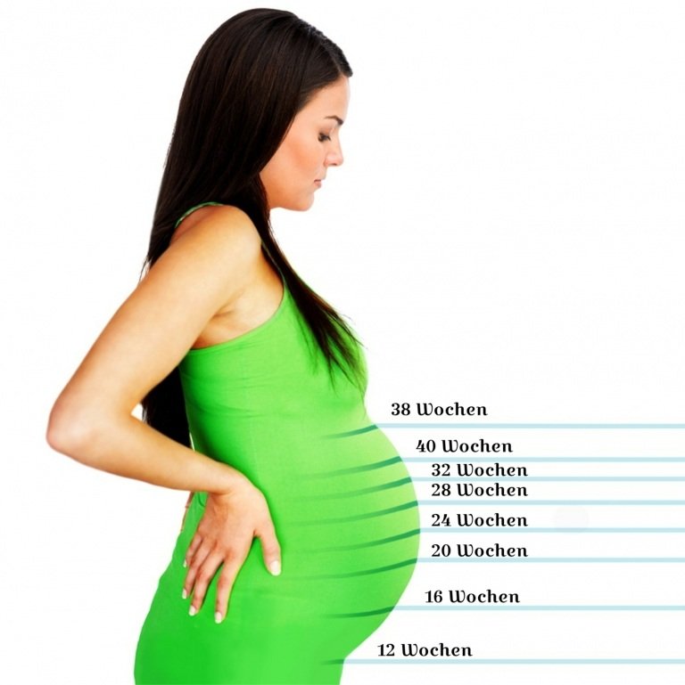 Barnets position i magen beroende på graviditetsveckan