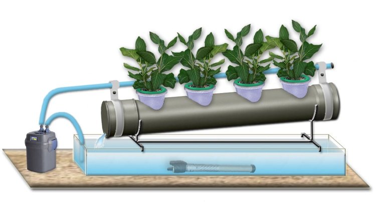 Hydroponics sätt att arbeta växter vattenpump