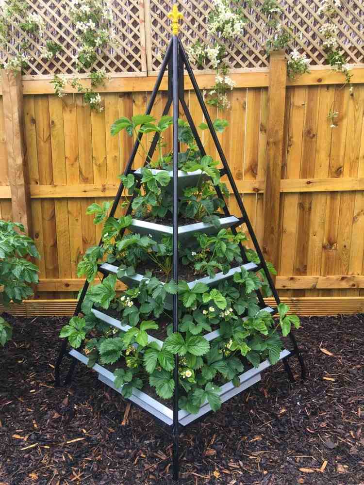 Pyramid för plantering med jordgubbar av metall