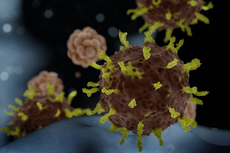 Ny studie från förebyggande av coronavirus ger svaret