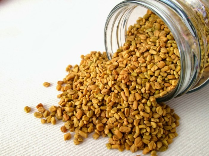 Fenugreek maträtt ingrediens näring för diabetes recept