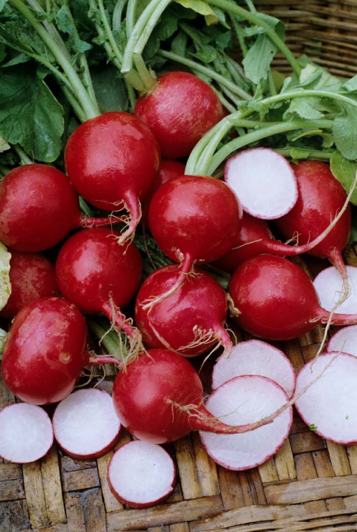 rädisor grönsaker hälsosam sallad näring röd vår