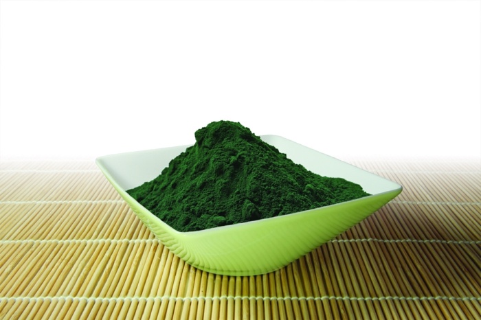 chlorella alg näring sötvatten hälsosam förstoppning
