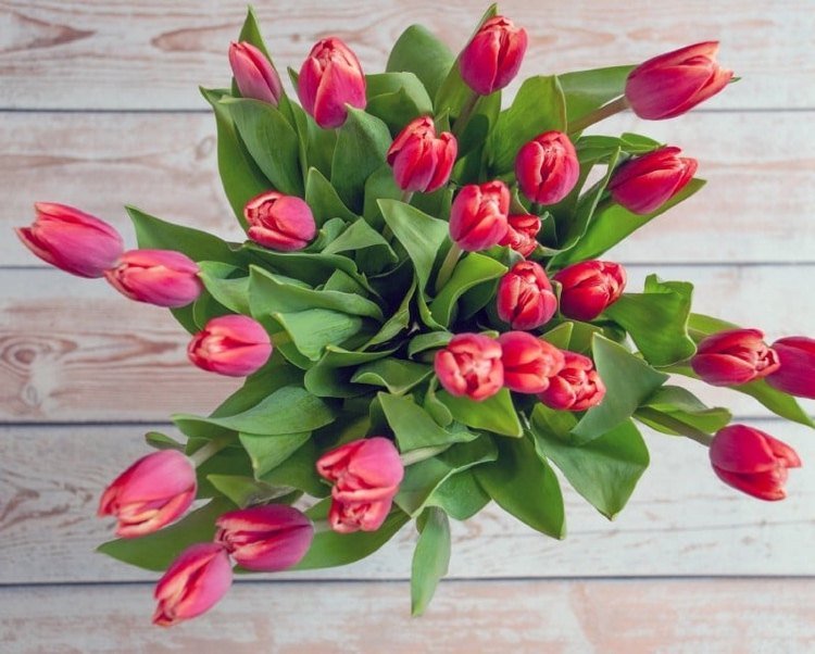 Hållbara snittblommor med ättika