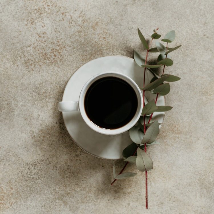 svart te eller kaffe i kopp med grenar av eukalyptusträd