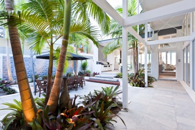 täckt innergård-moderna minimalistvita palmer