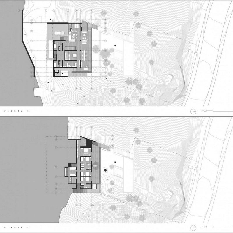 Exotiska-växter-blueprint-garden design-blueprint