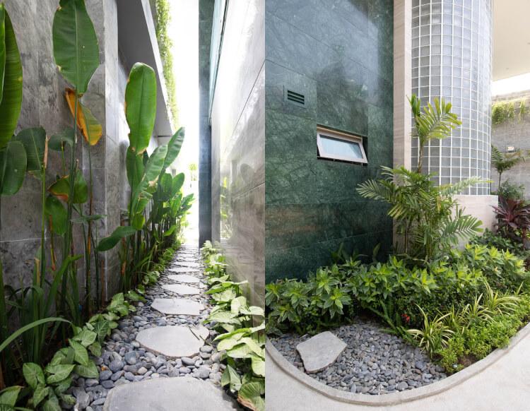 exotiska växter i trädgården i en modern villa i Vietnam