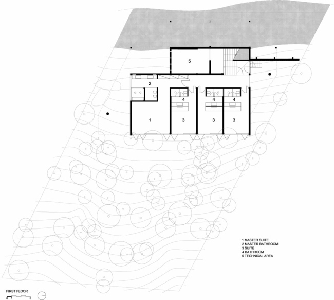 Rymd spridningsterräng brasiliansk skog