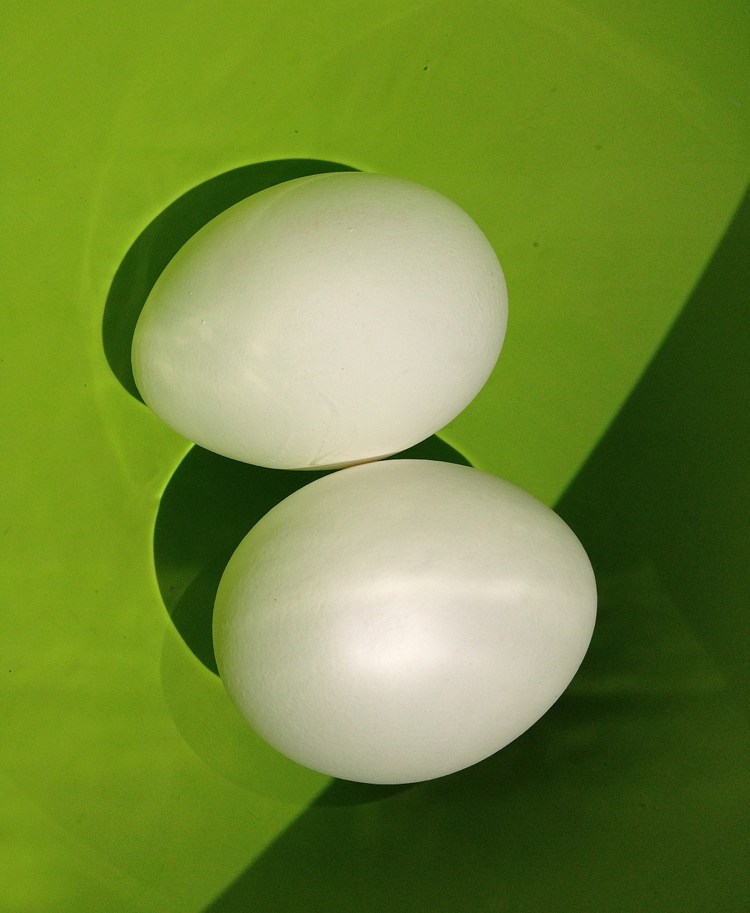 Experiment för grundskolebarn-tinker-ägg-vit-äggvetenskap