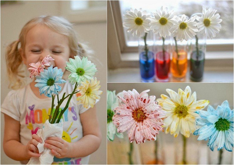 experiment-barn-hemma-växter-färger-vita-blommor-färg-resultat