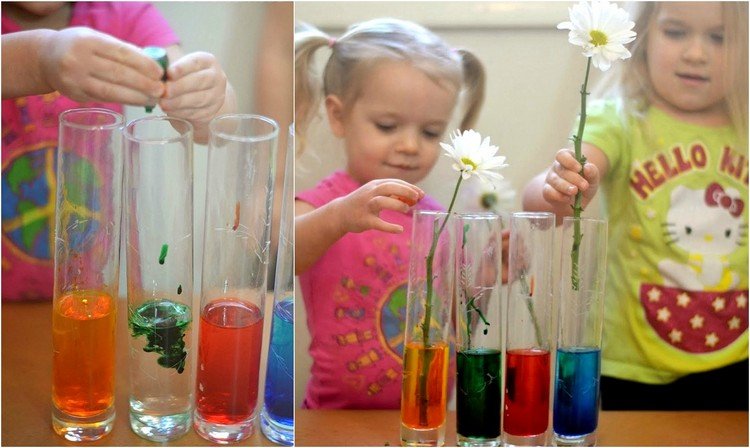experiment-barn-kolvar-mat-färg-lösa-vita-blommor