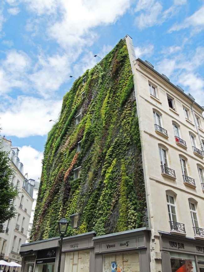 Betongfasadvegetation växtarter Paris Partick-Blanc installation