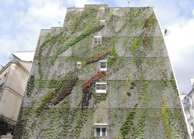 Lägenhetskvarter-Frotn grön vegetation Paris grönaktig-omfattande lämpliga växtarter