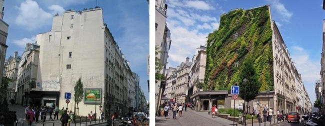 Aboukir-Straße Paris-betong fasaddesign miljövänlig grönska före-efter