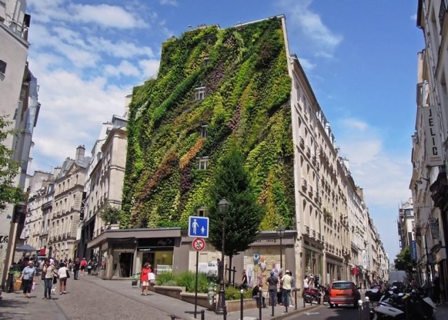 Grön fasad vertikal trädgård omfattande plantering bostadshus Paris installation