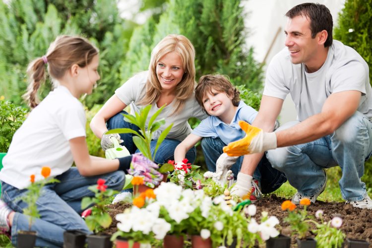 Familjevänlig trädgård-design-växt-odla-fritidsaktivitet