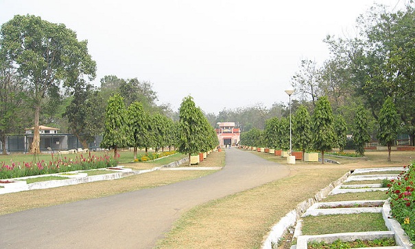 puistot-in-jharkhand-jawaharlal-nehru-biologinen-puisto