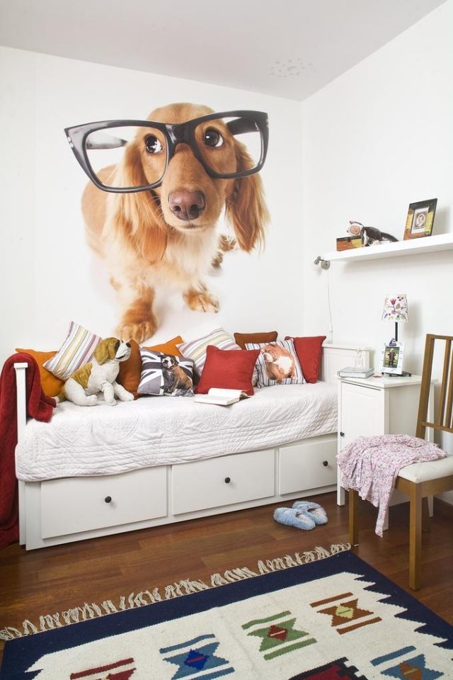 idéer-vägg-design-barnrum-fototapet-roliga-hund-glasögon