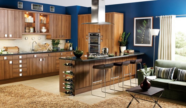 Färg kök mörkblå bokmöbler attraktiv modern