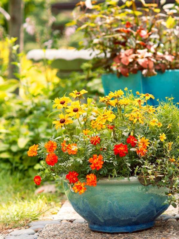 trädgård terrass blommor växt kruka terrakotta färger kombinationer