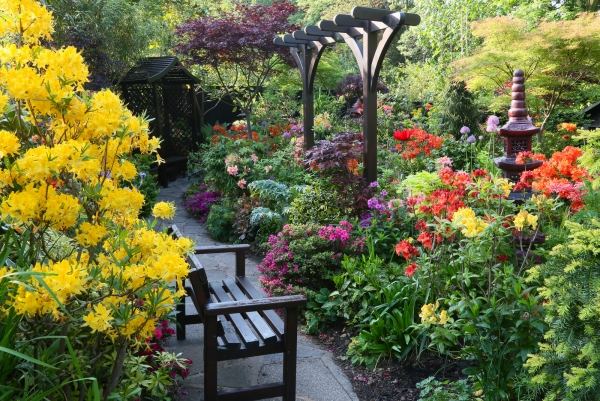 blommande trädgård design idéer färger exlosion bänk pergola