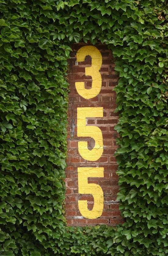 väggar klätterväxter växthusnummer
