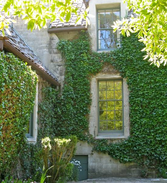 Fasadgrönande murgröna stenmurar romantiska